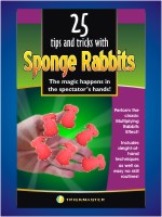Sponge Rabbits Kit